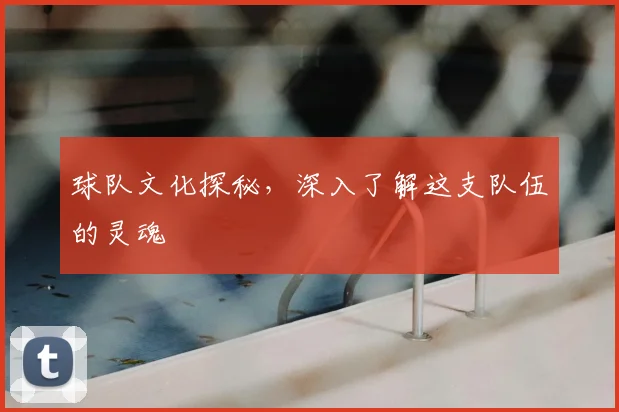 球队文化探秘，深入了解这支队伍的灵魂