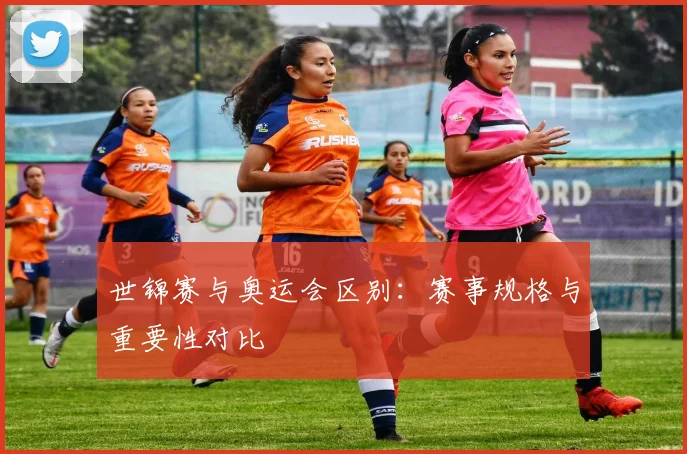 世锦赛与奥运会区别：赛事规格与重要性对比