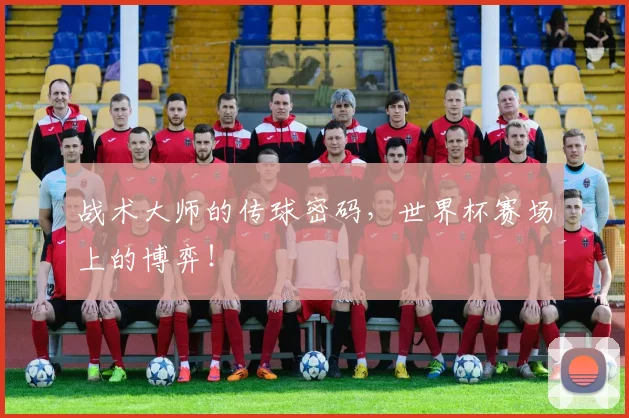 战术大师的传球密码，世界杯赛场上的博弈！