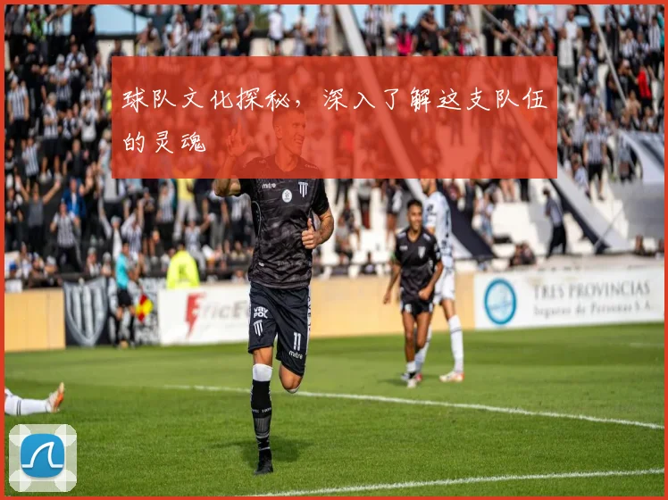 球队文化探秘，深入了解这支队伍的灵魂